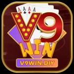 V9win Diy