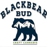 Black Bear Bud