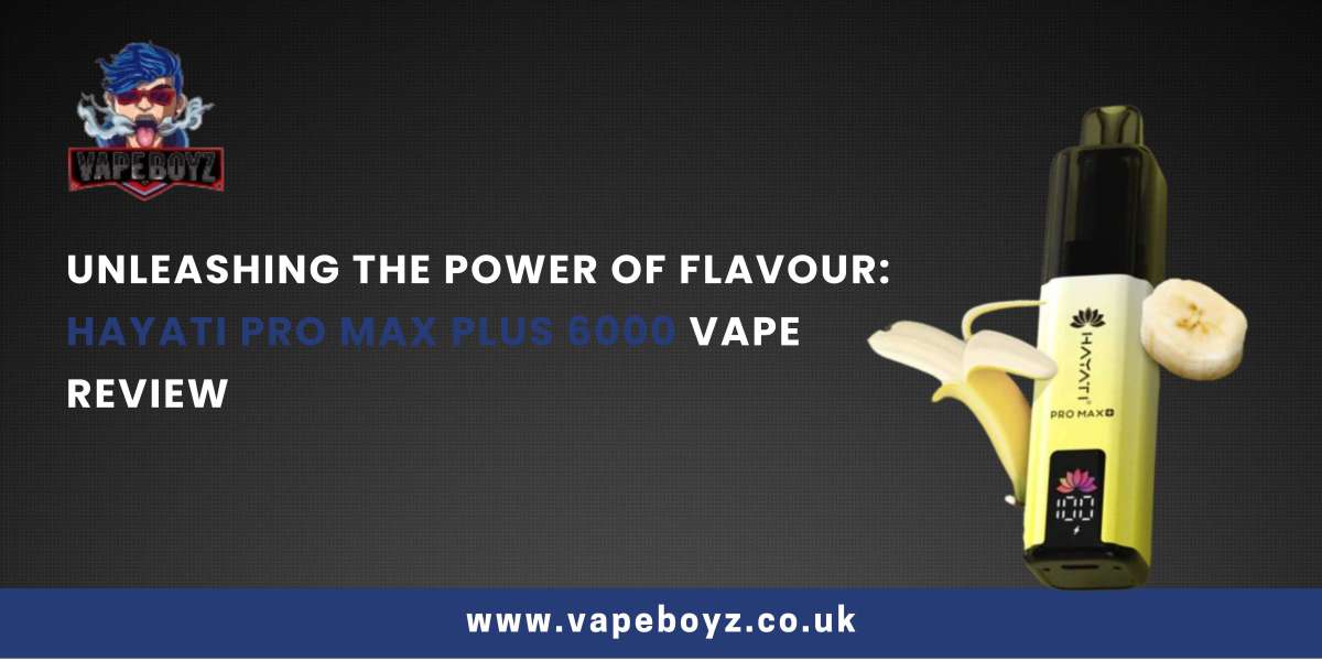 Unleashing the Power of Flavour: Hayati Pro Max Plus 6000 Vape Review