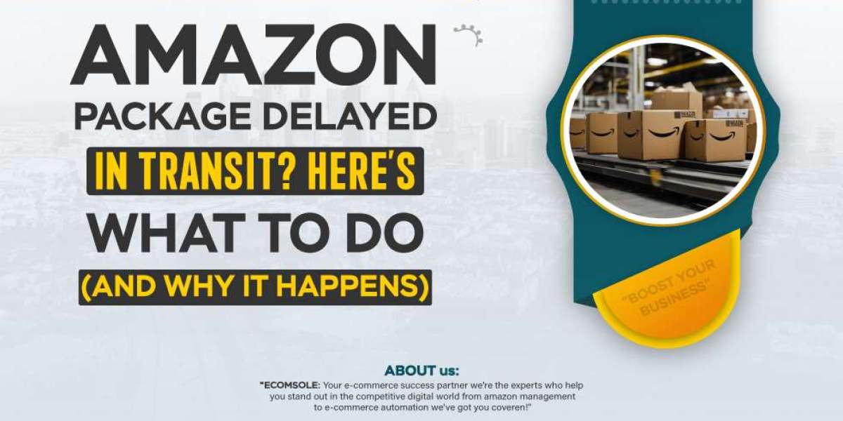 Amazon Package Delayed in Transit”? Here’s What to Do (and Why It Happens).