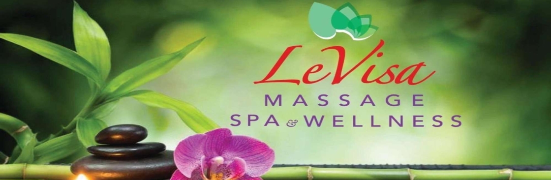 LEVISA MASSAGE SPA AND WELLNESS LLC