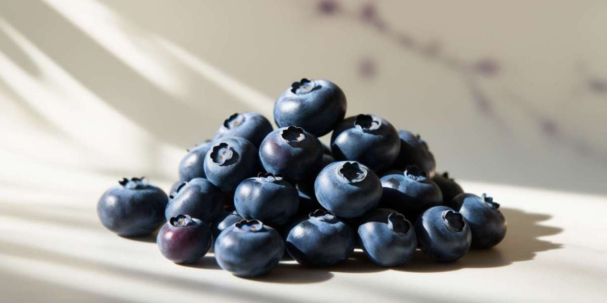 Blueberries Price Chart, Update Price Index and Real Time Price Analysis
