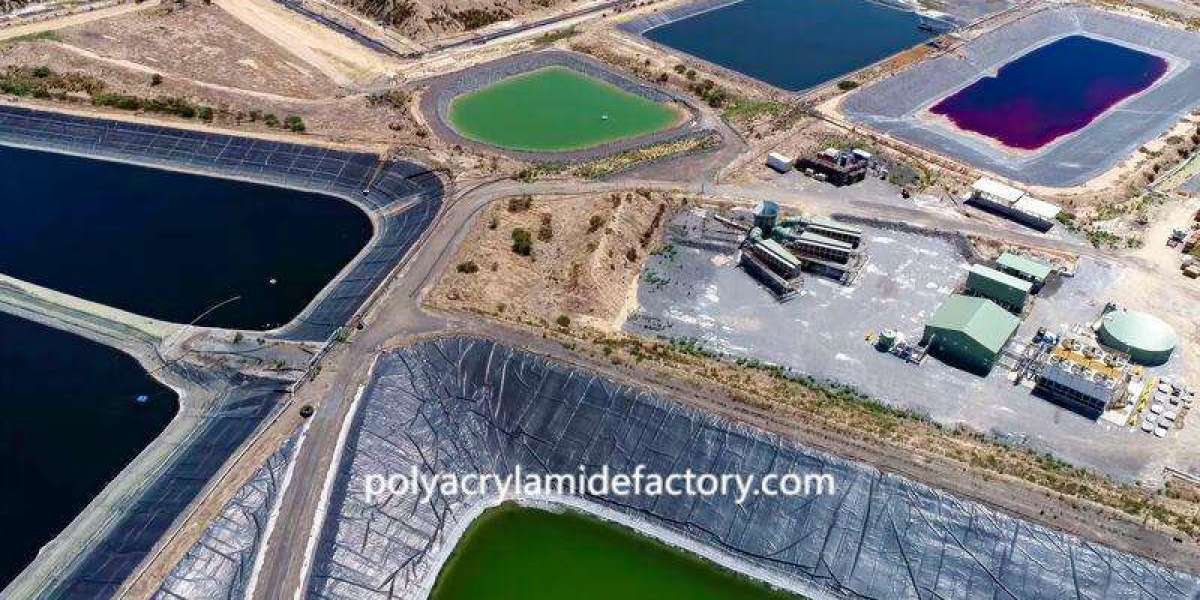 Quality Mineral Flocculants from Polyacrylamidefactory