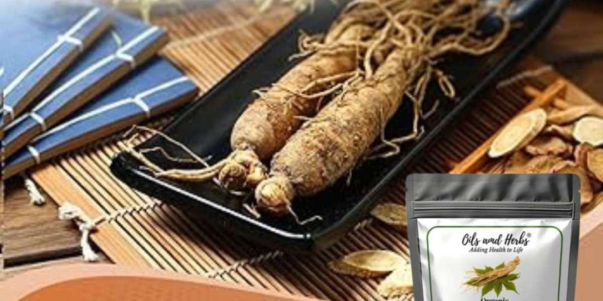 Best Red Korean Ginseng Powder Extract for Energy and Stamina
