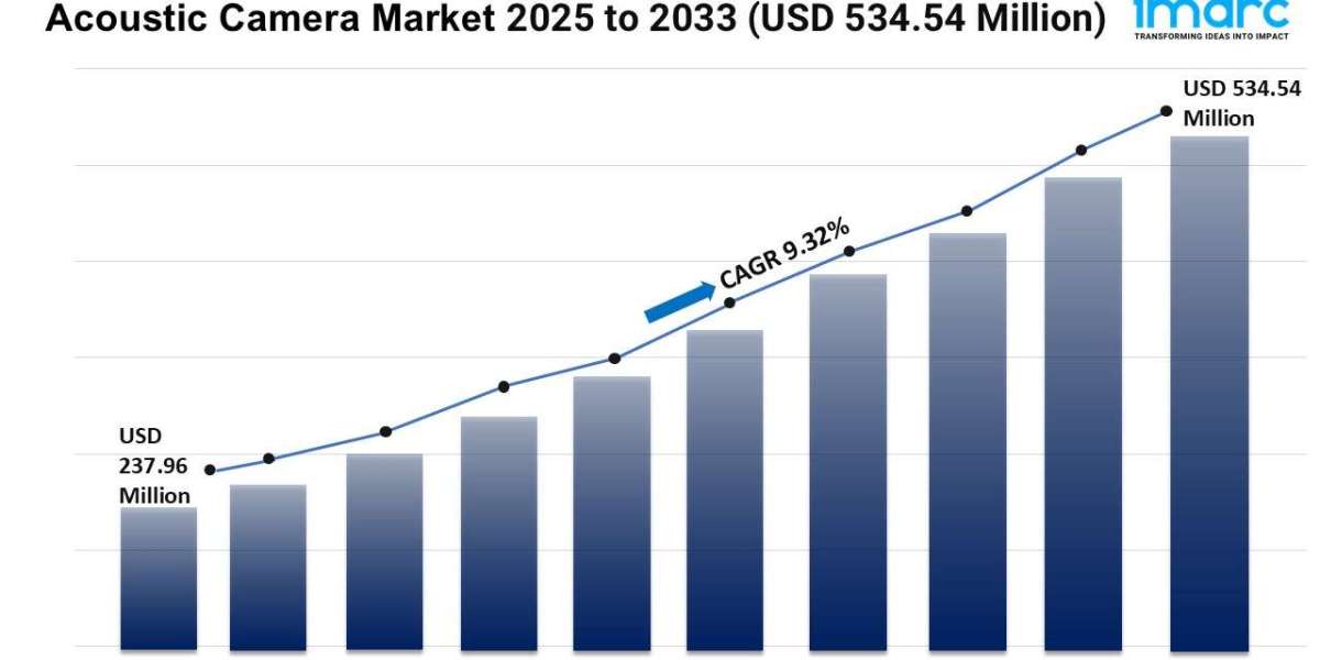 Acoustic Camera Market Growth, Size, and Trends Forecast 2025-2033