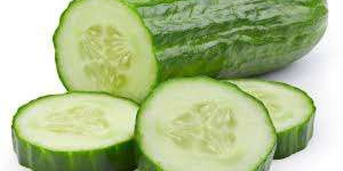 Cucumber Price Trend, Demand and Forecast Data