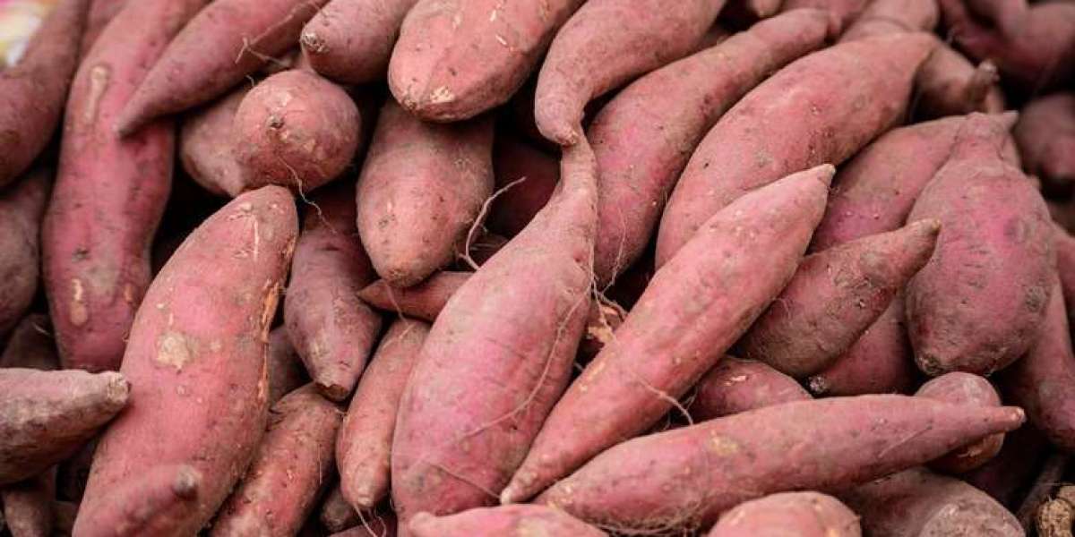 Keys to Running a Profitable Sweet Potato Processing Plant Setup Report 2025: Cost Details