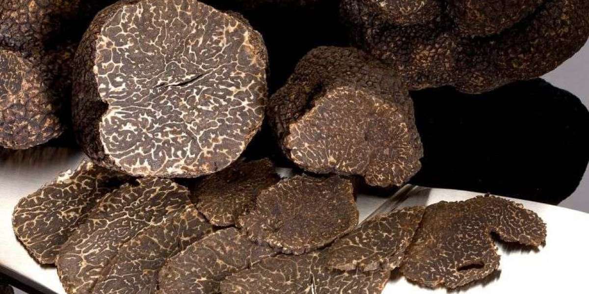 Truffles Market Share, Size, Segmentation and Forecast by 2031