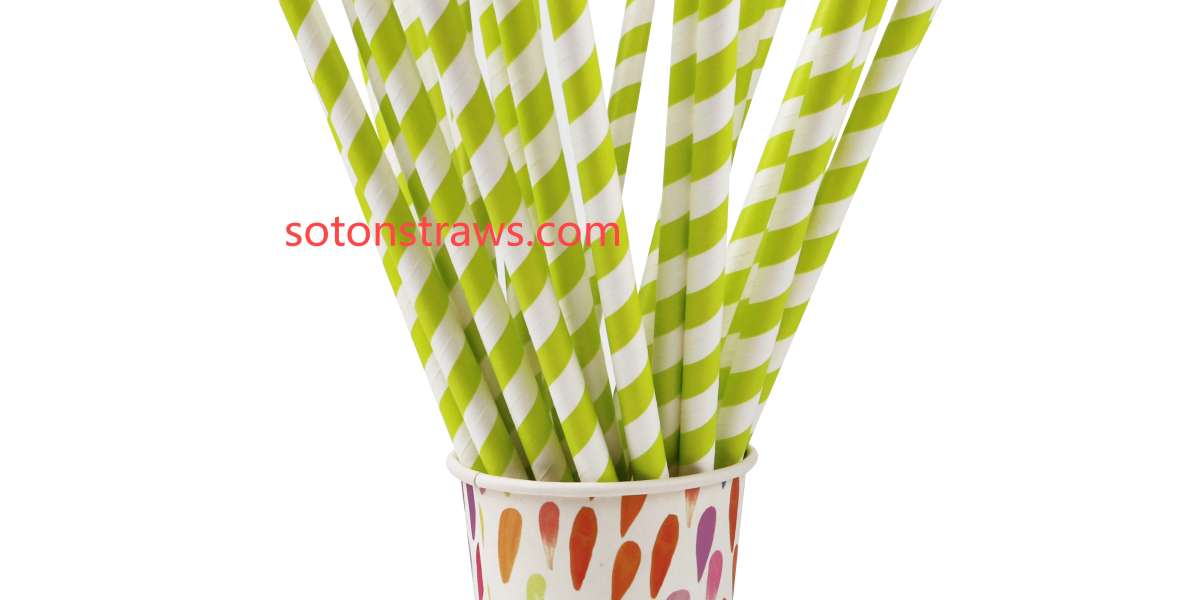 Soton's Bio-Literacy Kits: How Eco-Friendly Paper Straws Manufactory Shapes Tomorrow’s Innovators