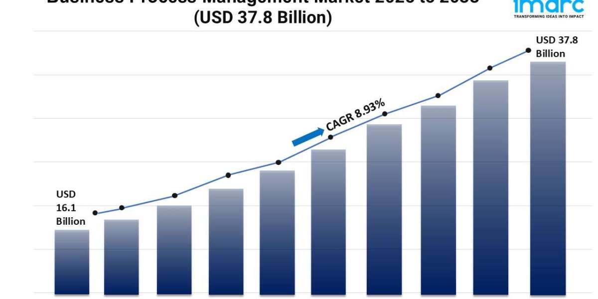 Business Process Management Market Share, and Trends Report 2025-2033