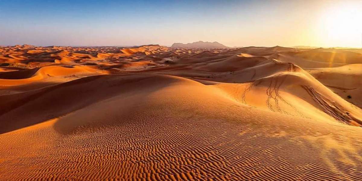 Ontdek de Ultieme Oman Vakantie: Tips, Bezienswaardigheden & Reizen