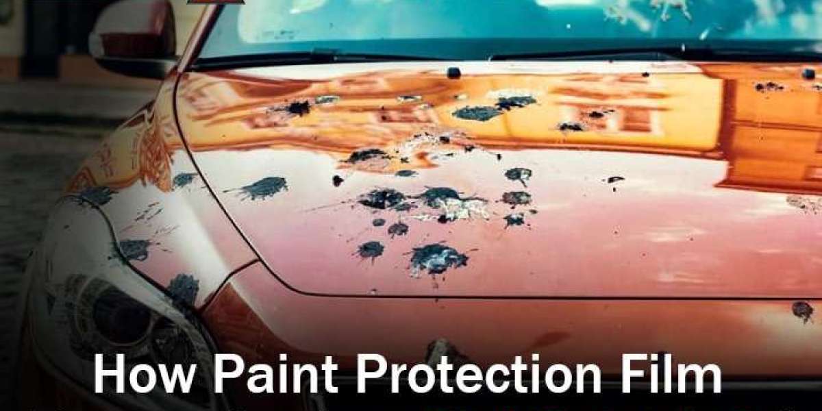 Shield Car from Bird Droppings with Paint Protection Film