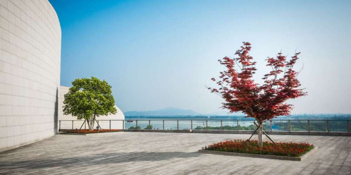 Are Stamped Cement Patios Part of the Top 12 Ideas?