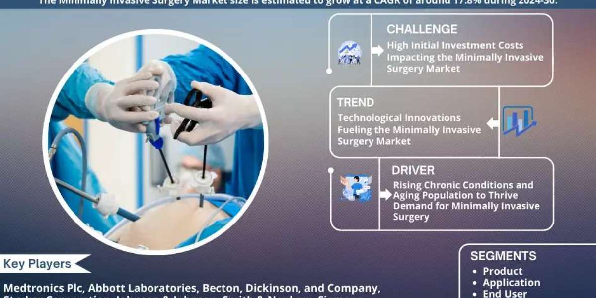 Minimally Invasive Surgery Market Comprehensive Analysis and Forecast 2024-30