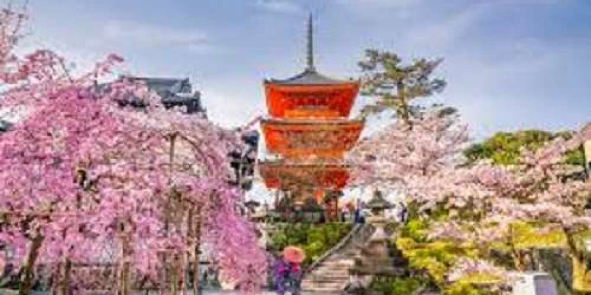 travel to Japan