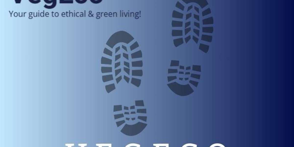 What Tools Does Vegeco Offer for Carbon Assessment?