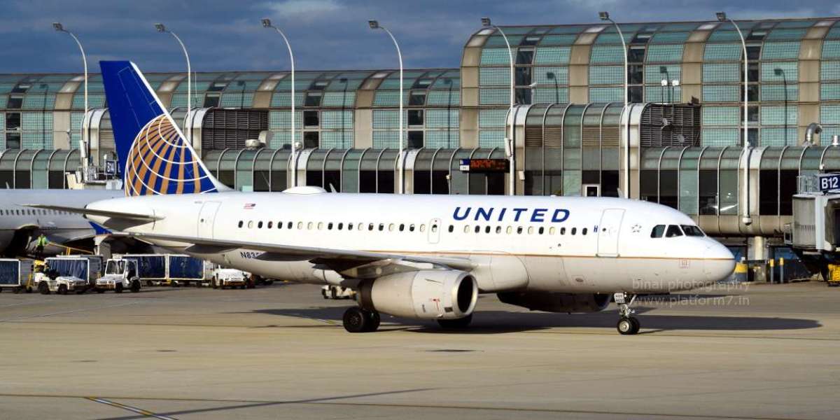 A Complete Guide to United Airlines at Detroit Metro Airport
