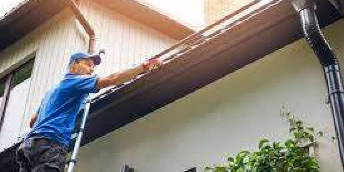 Roof Gutter Cleaning Sydney: Protect Your Property with Professional Gutter Maintenance