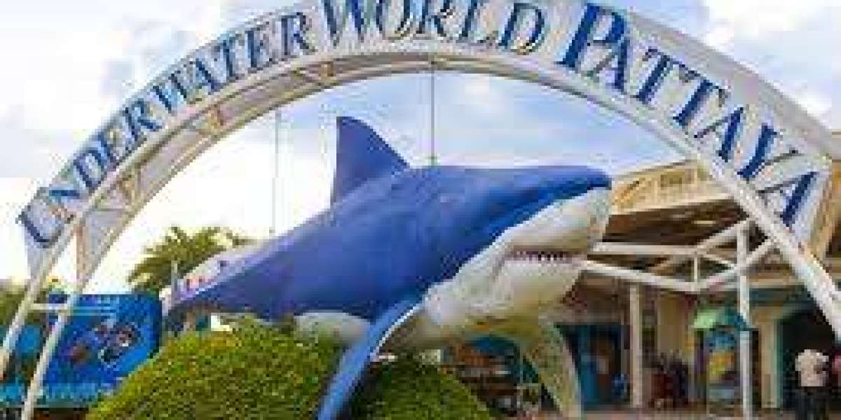 Dive Into Pattaya Underwater World - Book Discounted Tickets & Save.
