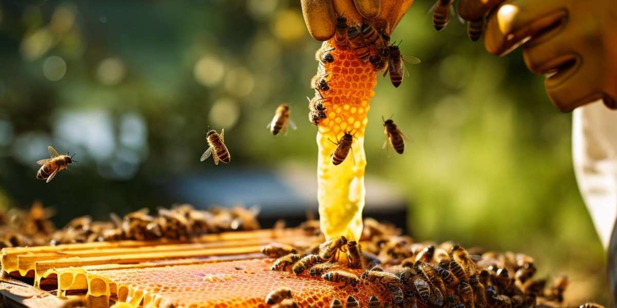 Smart Beekeeping with IoT: Methods, Location Strategies & Safety Tips for Beehive Monitoring Systems