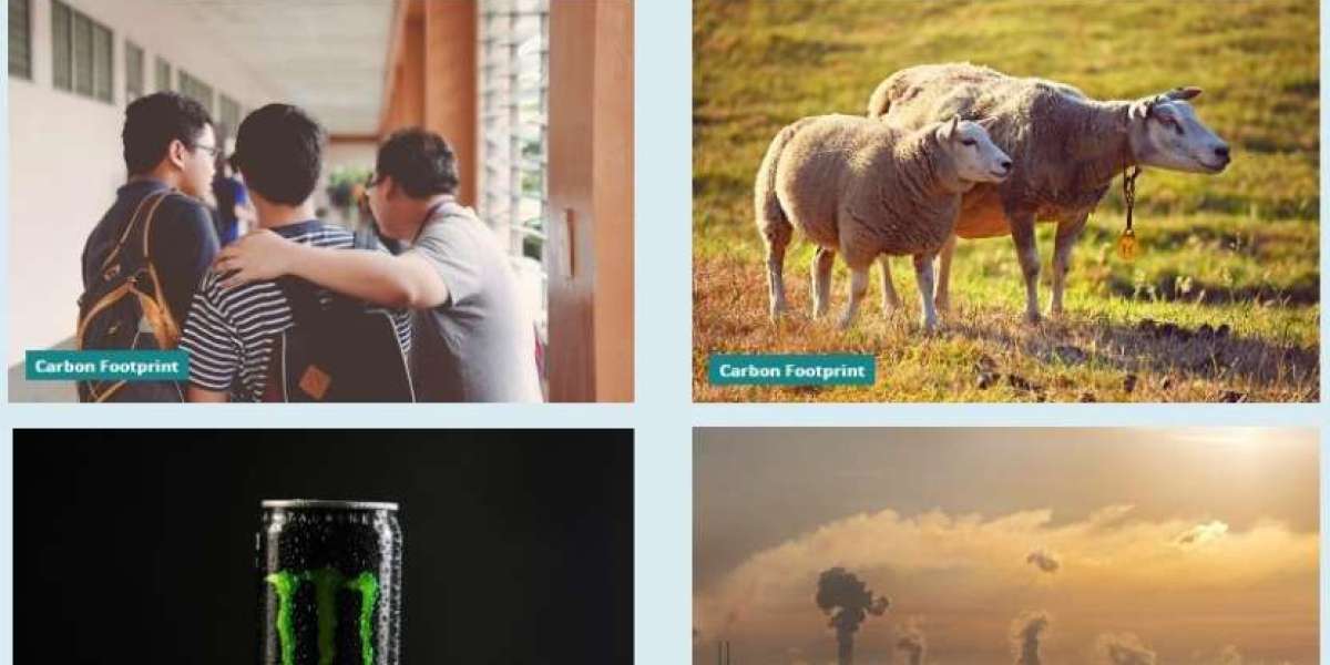 Sustainable Accounting: How to Assess and Offset Your Carbon Emissions Effectively