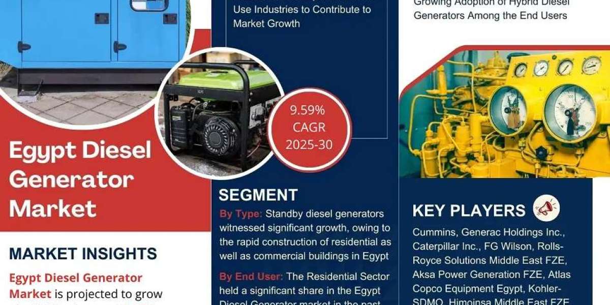Egypt Diesel Generator Market Trends and Growth Drivers Analysis 2030