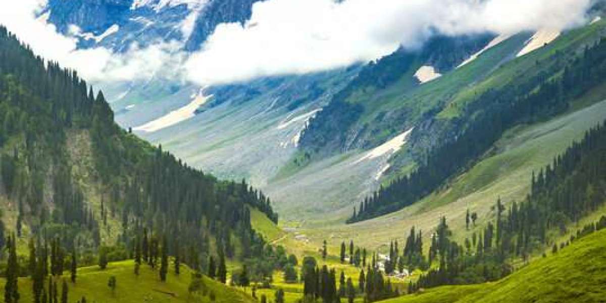 ?️ Is Kashmir Safe for Tourists in 2025? Travel Insights, Local Culture & Hidden Crafts of Anantnag