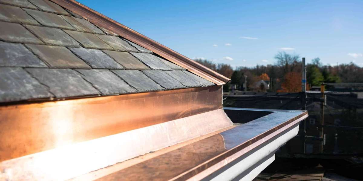 The Importance of Timely Downspout Repair for Home Protection