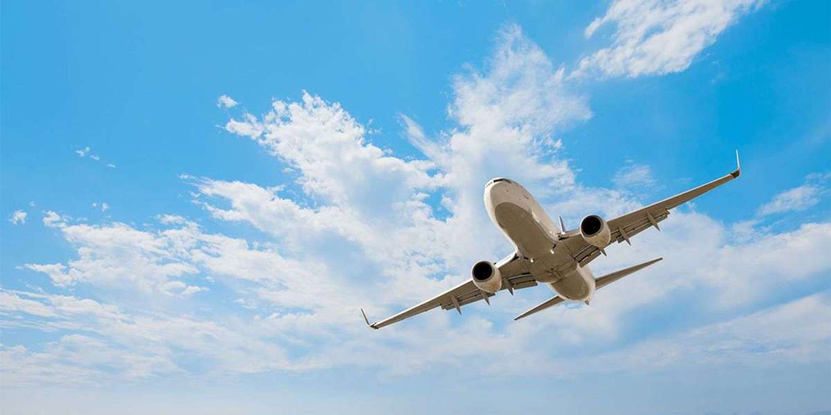 Getting Details via Fort Lauderdale-Hollywood International Airport Phone Number