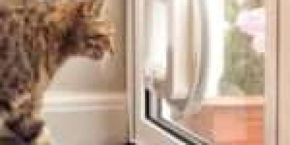The Next Big New Cat Door Contractor Industry