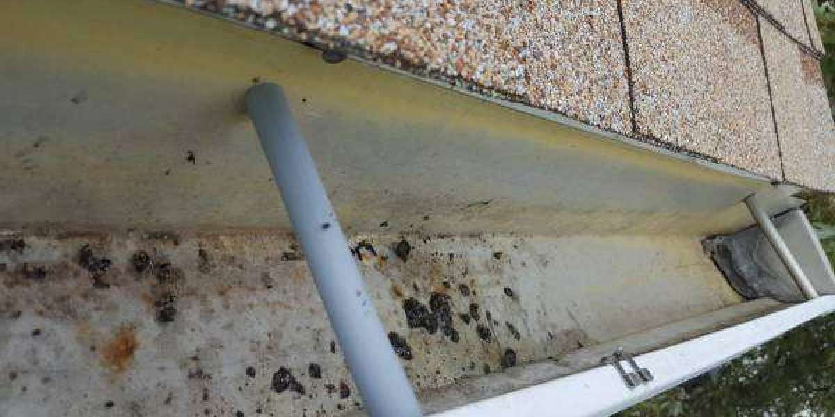Gutter Services in Beeston – Keep Trust Your Gutters Clean and Working