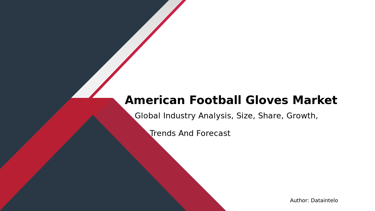 American Football Gloves Market Report | Global Forecast From 2025 To 2033