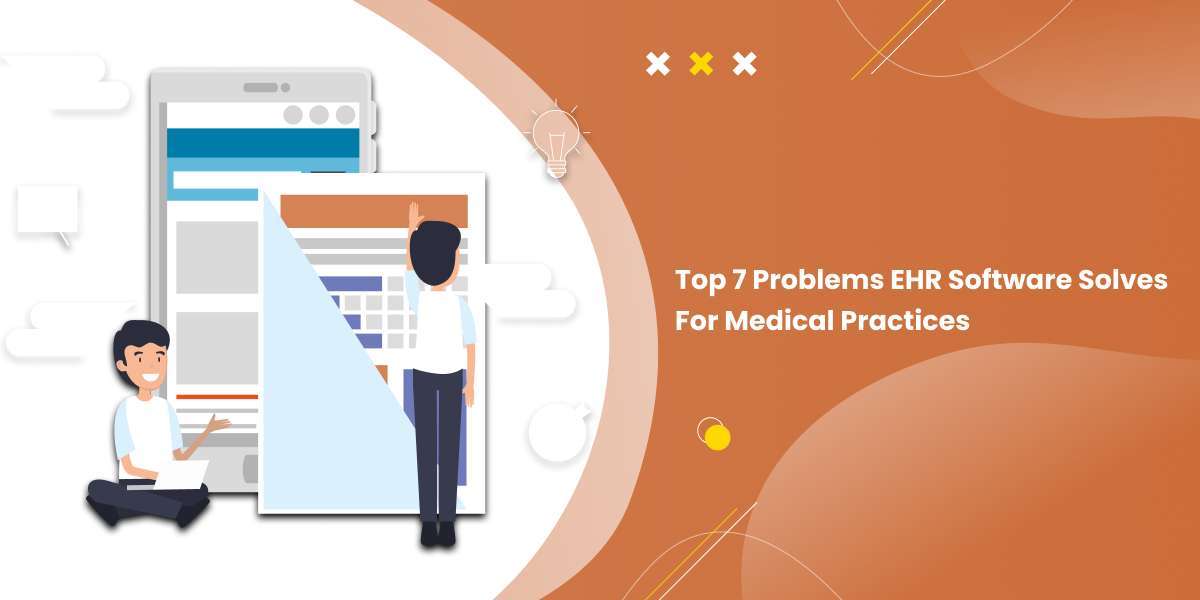 Top 7 Problems EHR Software Solves for Medical Practices