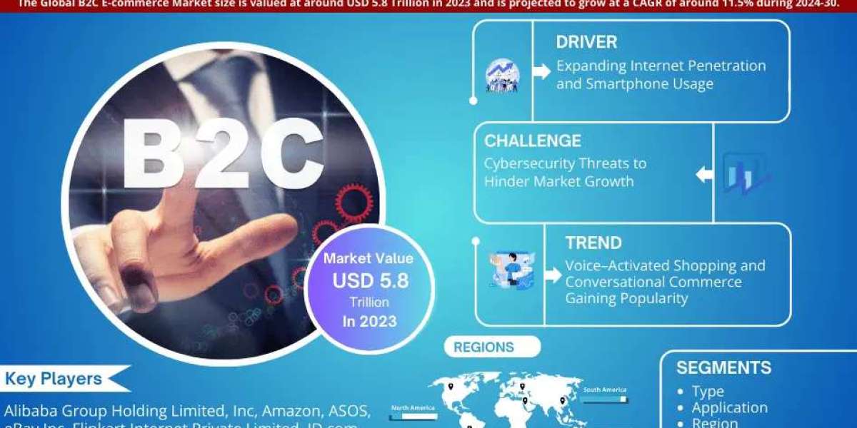 B2C E-commerce Market Insights, Share & Growth Trends 2024-30