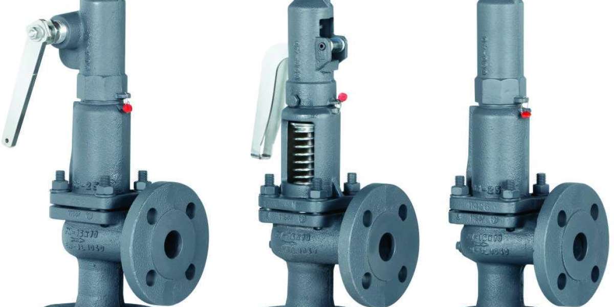 Safety Valves in Ion Exchange Applications: Technologies, Trends, and Markets