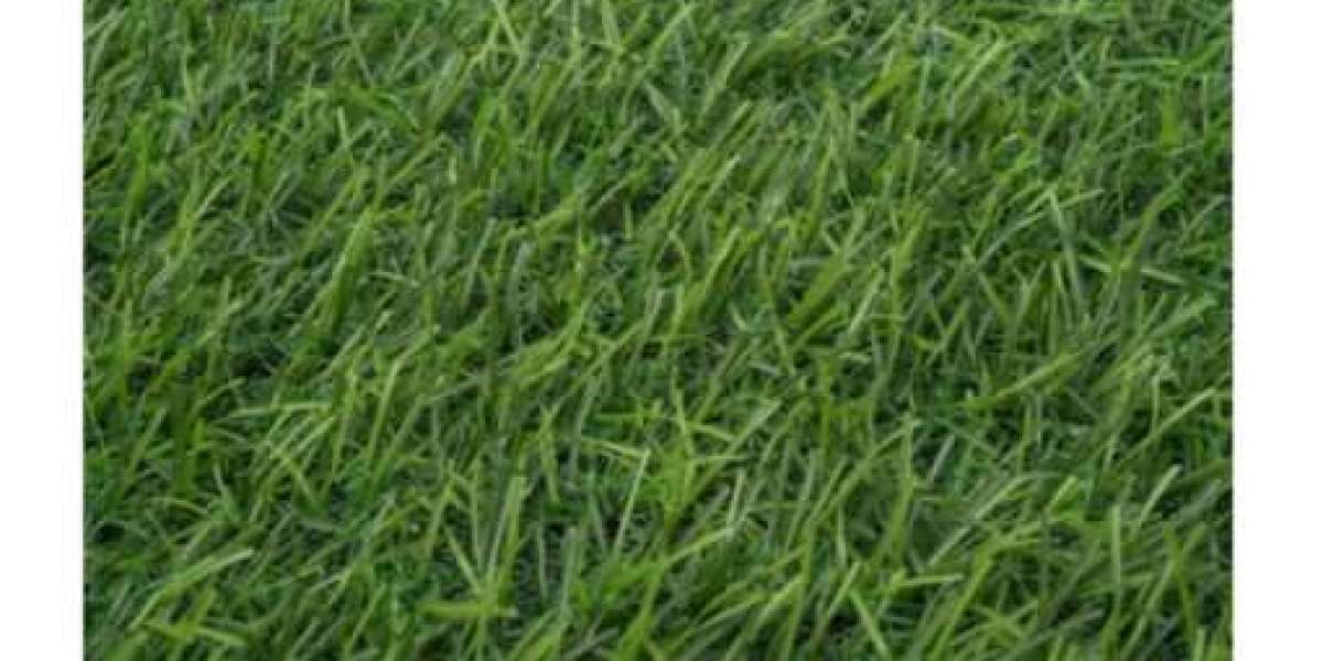 Installing Green Grass for Lawn? Here’s How to Handle the Mess with Cheap Plastic Containers with Lids