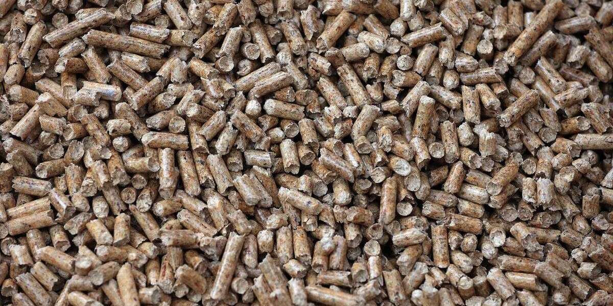 The Future of Biomass Pellets Market