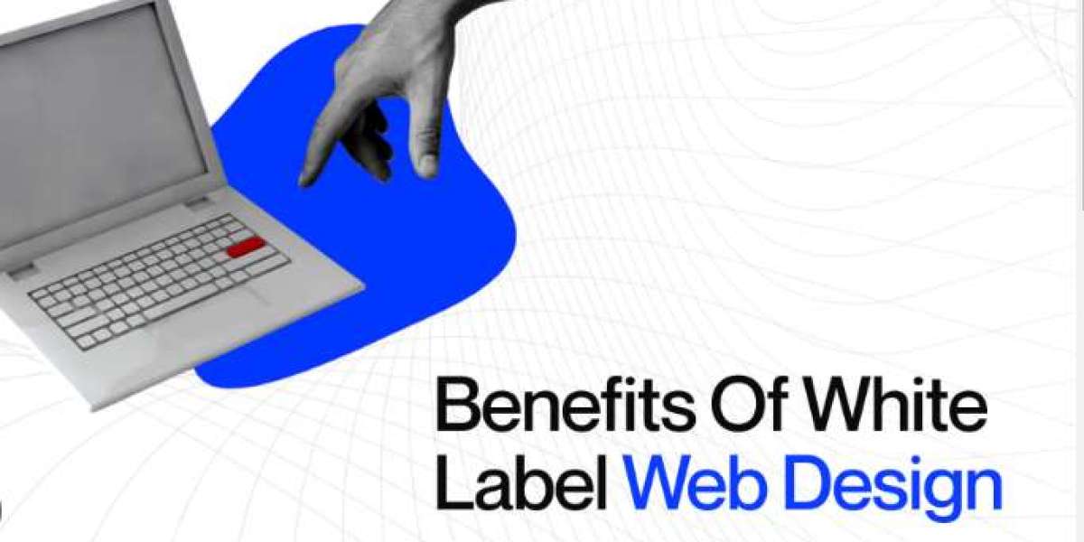 Brandswaggin Review: Scale Your Agency With Wix Velo & White Label Website Design + SEO