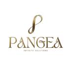 pangea Infinite solutions