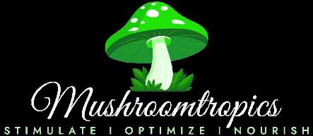 mushroom tropics