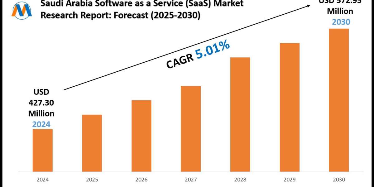 Saudi Arabia Software as a Service (SaaS) Market Size, Share, Growth, and Forecast Analysis 2030