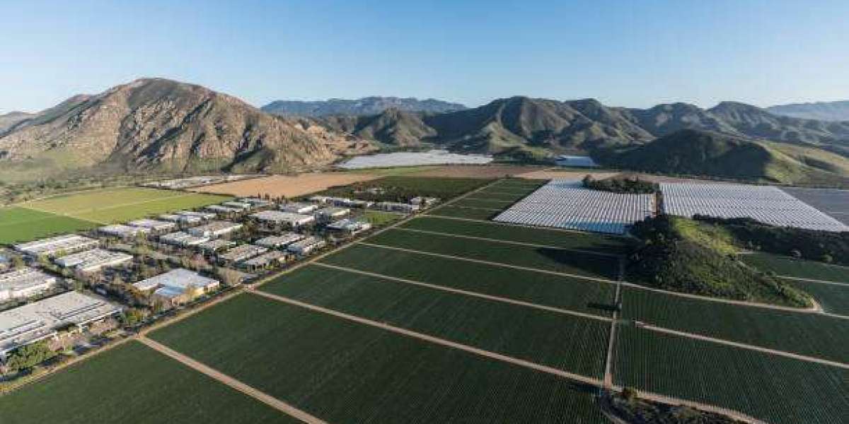Navigating the Future Safely — Why ADAS Calibration Camarillo Is the Backbone of Modern Driving