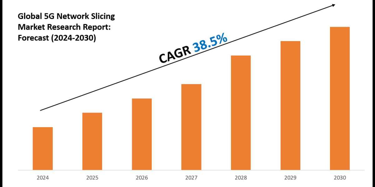 5G Network Slicing Industry Share, Size, and Competitive Landscape 2030