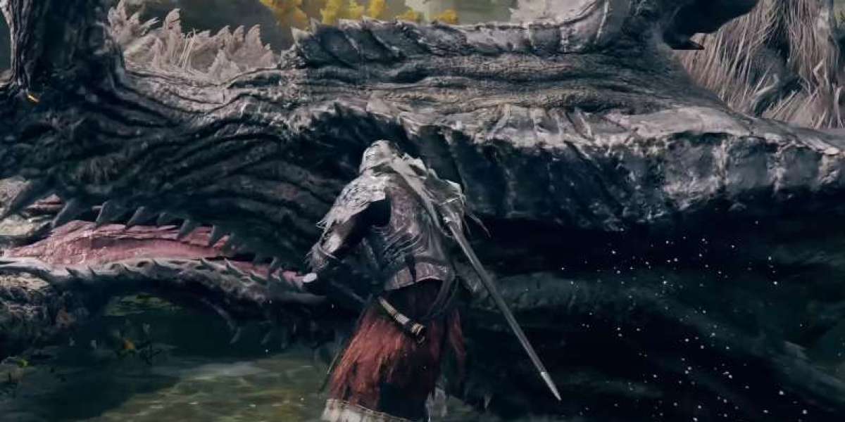 MMOexp Elden Ring: Do not require the training