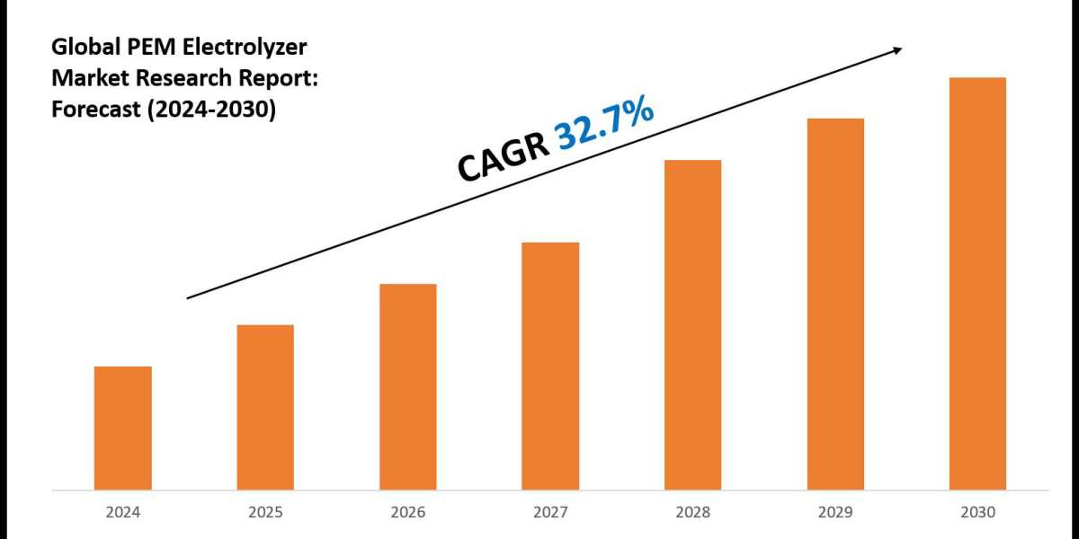 PEM Electrolyzer Market Outlook: Size, Share, and Competitive Trends 2030