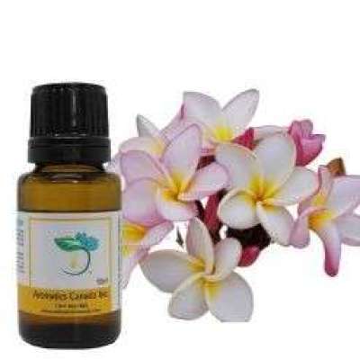 Lavender Essential Oil Profile Picture