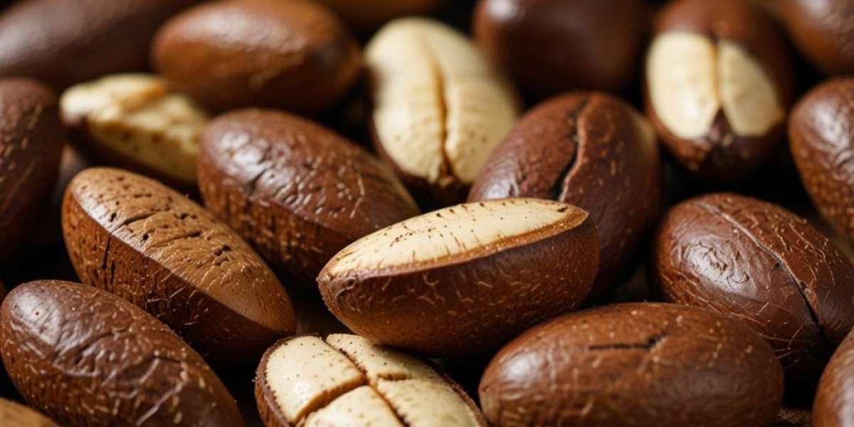 Brazil Nuts Price Index 2025, Historical Price Chart and Forecast