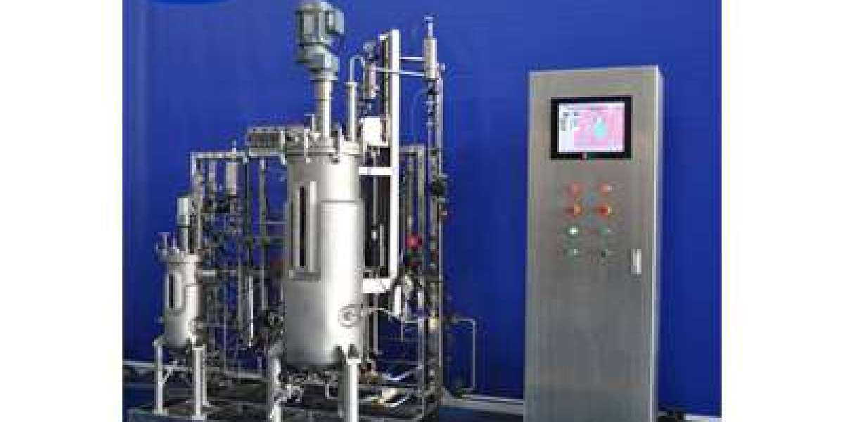 Why CIP Systems Are Crucial for GMP Compliant Fermentation