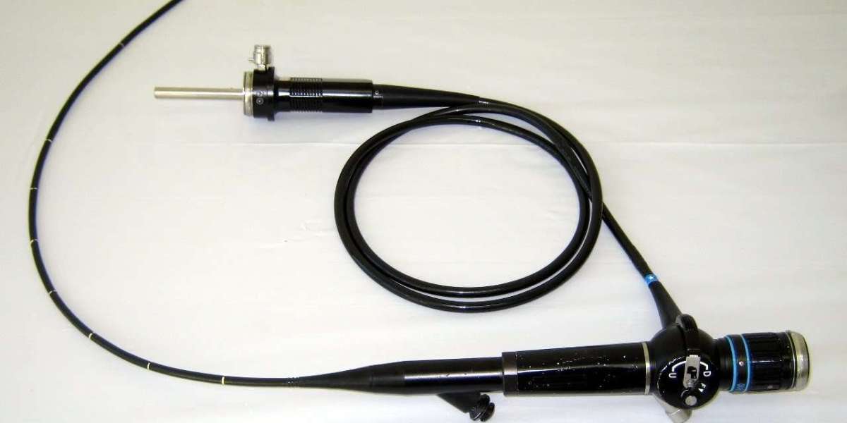 Global Ultrasound Endoscope Market Outlook (2021–2031): Trends, Growth, and Forecast Analysis