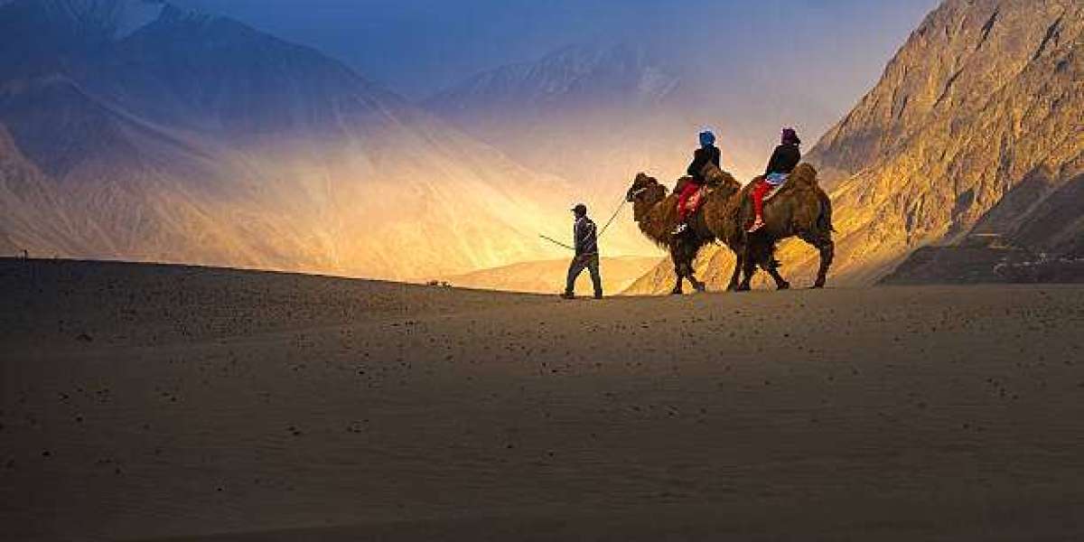 Mushkoh Valley in Ladakh 2025: Hidden Beauty, Travel Guide, and Family-Friendly Tips for Your Trip